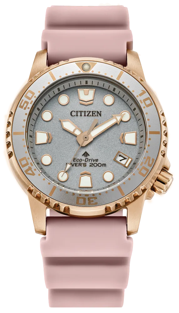 Citizen Stainless Steel Sport Watch