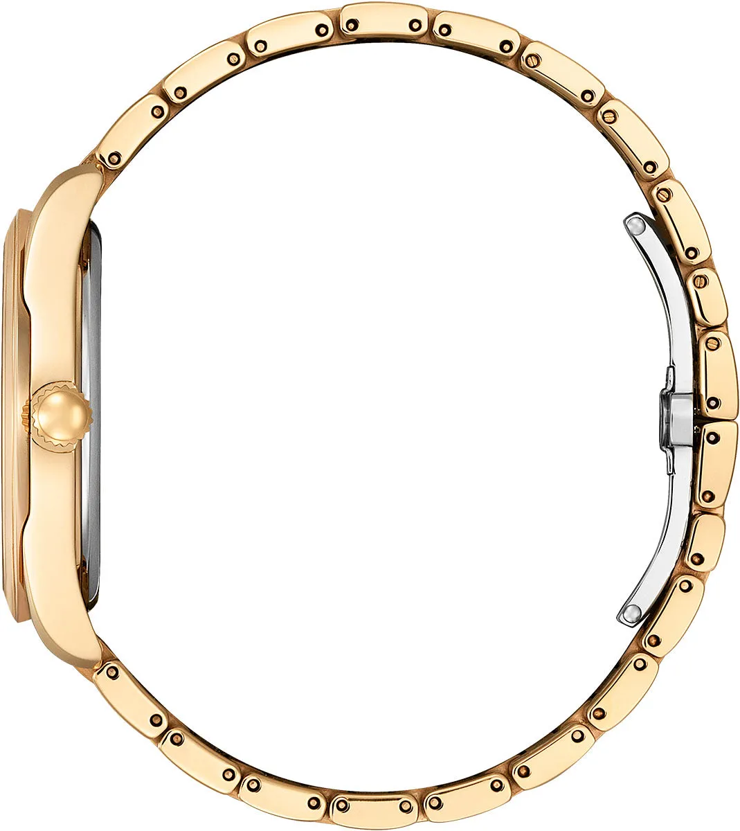 CTZ Watch Arezzo Eco Drive Ladies